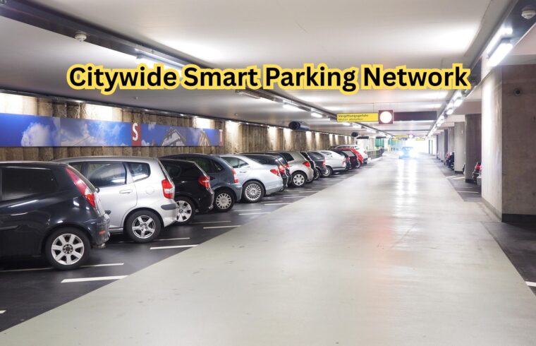Citywide Smart Parking Network